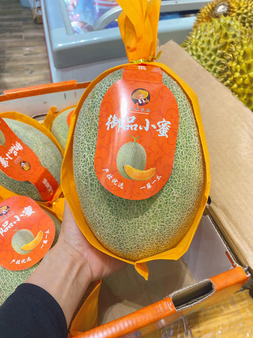 【宏丰精选】哈蜜瓜 脆甜蜜瓜果肉香甜  活动价6.8一斤 商品图3