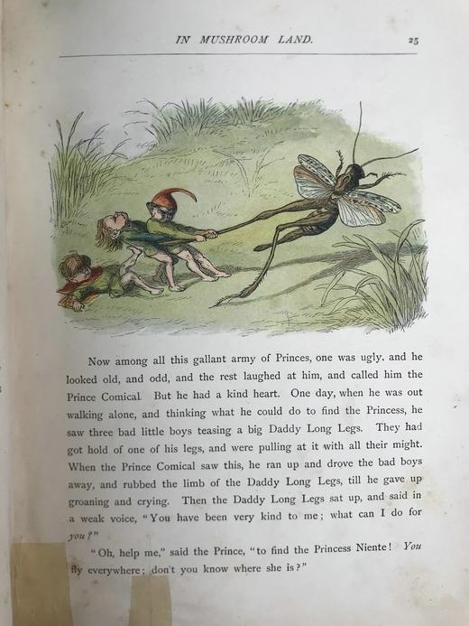 【品相欠佳】约19世纪末 安德鲁·朗格《无名公主：仙境传奇》 理查德·道尔彩色插图 布脊精装18开 商品图10