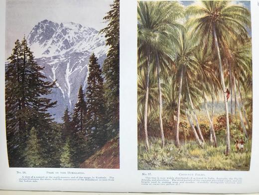 1924年 大英帝国图集 32幅彩色26幅黑白插图 漆布精装16开 商品图12