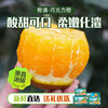 【京东快递】秭归宗橙（巧克力橙）皮薄娇嫩 产量小  14黄金甜 0.3%隐秘酸 100%视觉炸裂 - ACS 商品缩略图1