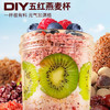 【以红养红❗元气十足】泰城谷匠五红谷物燕麦片混合多谷物燕麦早餐即食速溶冲泡营养代餐。rg 商品缩略图2