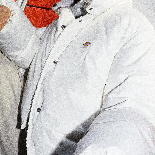 Dickies短款羽绒服男女同款休闲防泼水立领加厚保暖面包服外套DK0A87CA 商品图9