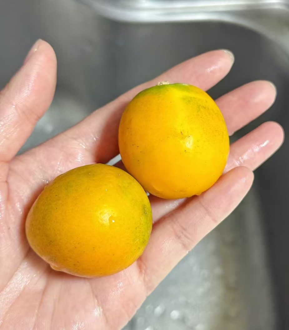 周三取货：【金金添柑礼盒】一箱毛重4斤左右，脆甜爽口！