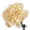 单头康乃馨 | 雷格马龙 商品缩略图3