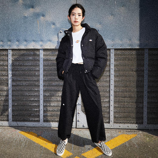 Dickies短款羽绒服男女同款休闲防泼水立领加厚保暖面包服外套DK0A87CA 商品图1