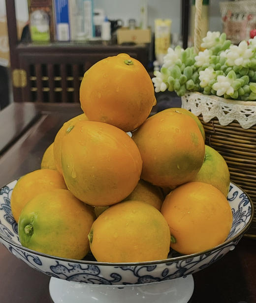 融安龙珠大金柑 商品图3