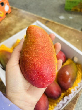 #空运贵妃芒#真正自然成熟，不打药不催熟，细腻香甜，皮薄肉厚，一口下去满满的阳光味道～