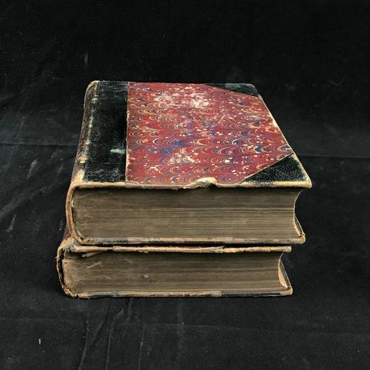 1875年 达尔文《动物和植物在家养下的变异》（全2卷） 43幅版画插图 真皮精装32开 商品图2