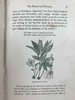 1870年 田野花卉手册 8幅彩色90幅黑白木版画 漆布精装36开 商品缩略图13