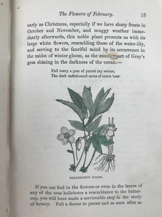 1870年 田野花卉手册 8幅彩色90幅黑白木版画 漆布精装36开 商品图13