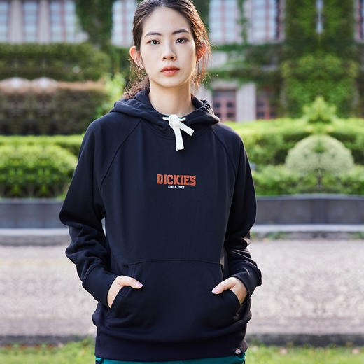 Dickies后背印花休闲连帽毛圈美式卫衣宽松 男女情侣简约百搭 DK0A87FE Y 商品图0