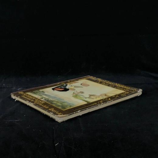 约19世纪末 安德鲁·朗格《无名公主：仙境传奇》 理查德·道尔彩色插图 布脊精装18开 商品图1