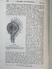 1908年 达尔文《食虫植物》配有插图 漆布精装32开 商品缩略图13