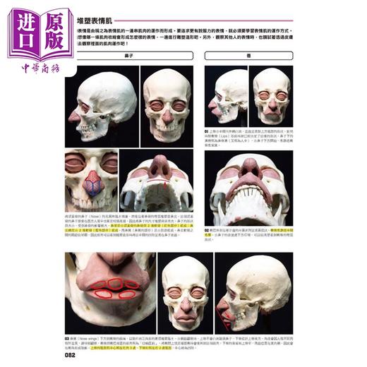 【中商原版】片桐裕司 雕塑解剖学 完全版 港台原版 片桐裕司 北星出版 商品图3