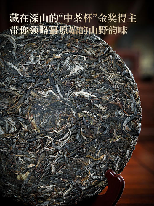 【最后几饼，后续不再接受预订】【百花潭高杆】2026年春茶预售茶王树同源稀少高杆，爱茶老客‘心头宝’ 选取茶王树周边三棵大高杆单采单制 全球仅有八棵高杆古树！ 357克/饼 商品图4