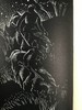 【阿非利卡语】限量2000册！1945年 普莱西斯《我们父辈的土地》 鲁克斯7幅插图 漆布精装18开 商品缩略图8