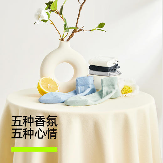 【新品上新】【香薰袜】有棵树纯棉抗菌消臭薄款网眼男士短袜5双装-O2104 商品图1