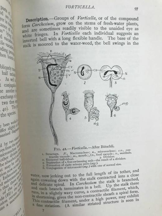 1910年 动物学纲要 420幅插图 漆布精装32开 商品图12