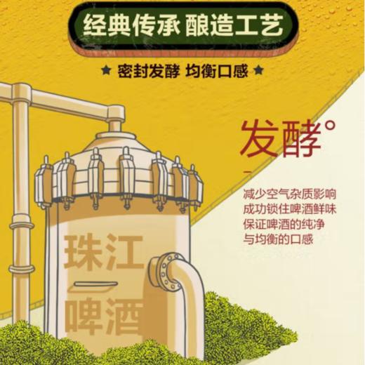 珠江啤酒12度 (玻璃瓶)600ml 商品图3