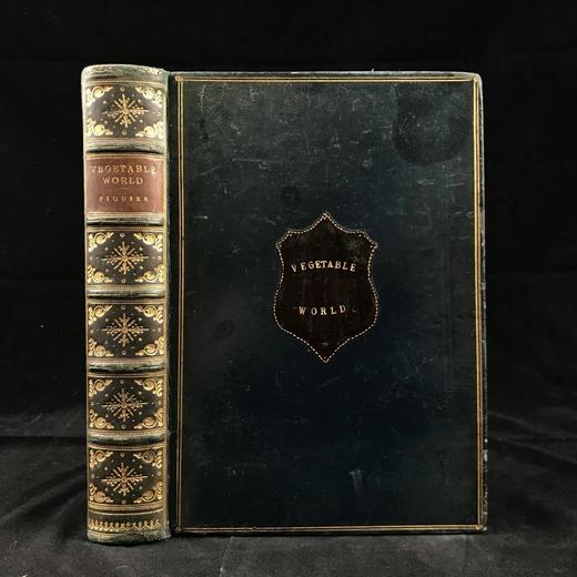 约19世纪后期 植物世界 476幅插图 全真皮精装32开 商品图0