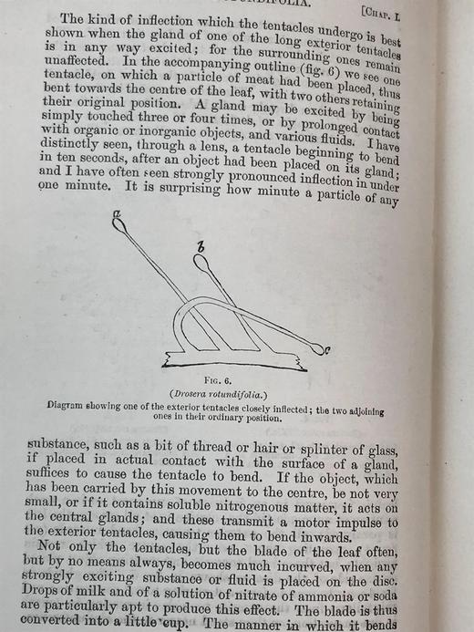 1908年 达尔文《食虫植物》配有插图 漆布精装32开 商品图10