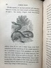 1861年 乡村常见事物图鉴 配多幅套色版画插图 漆布精装36开 商品缩略图11