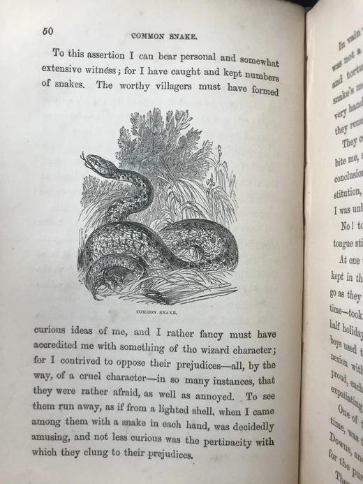 1861年 乡村常见事物图鉴 配多幅套色版画插图 漆布精装36开 商品图11