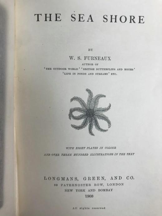 1903年 海滩生物图鉴 8页彩色300余幅黑白插图 漆布精装32开 商品图3