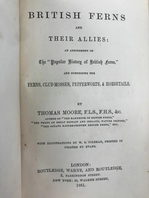 1861年 英国蕨类及其近缘植物 12幅套色版画插图 漆布精装36开 商品图3