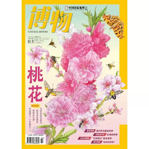 《博物》202603  桃花 专题+超级拉页 商品图2