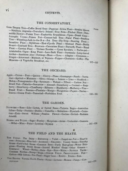 约19世纪后期 植物生命的美丽与奇观 数十幅版画插图 漆布精装36开 商品图5