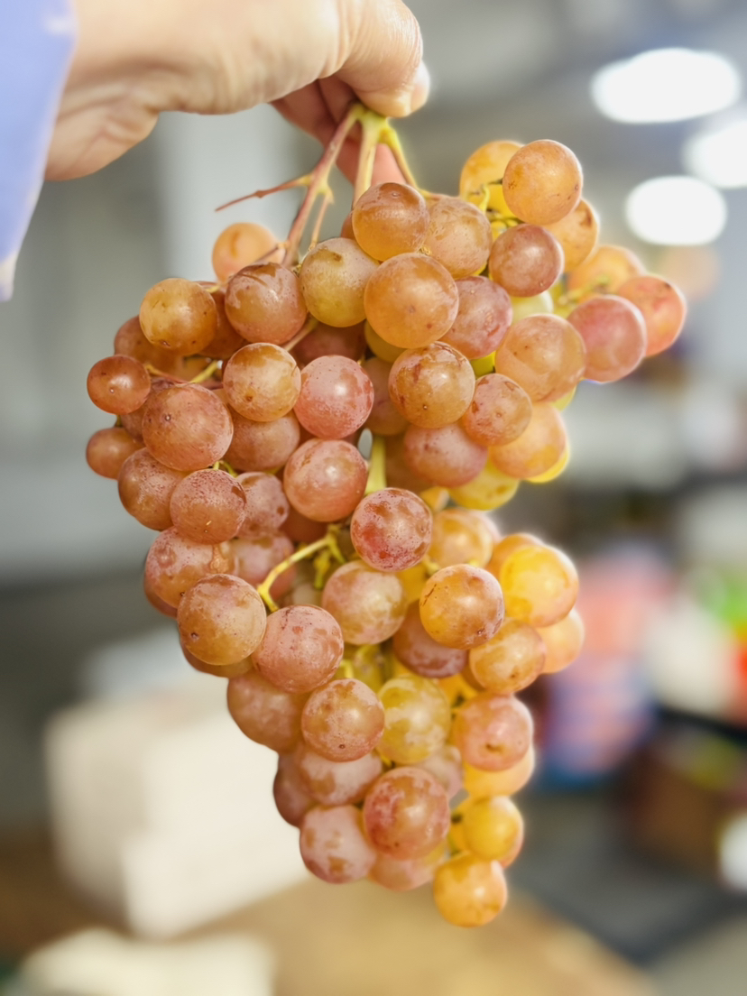 智利 荔枝葡萄来咯！香味浓郁 鲜甜多汁 回味很好 口齿留香～