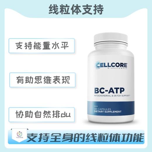海外  CELLCORE   BC-ATP  线粒体支持 商品图0
