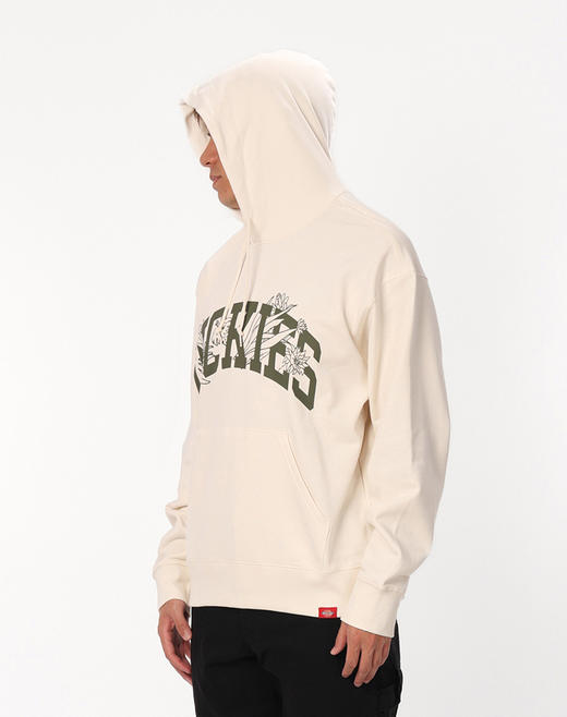 Dickies卫衣 前胸字母印花毛圈布连帽抽绳卫衣 男女情侣 DK0A87CL 商品图3