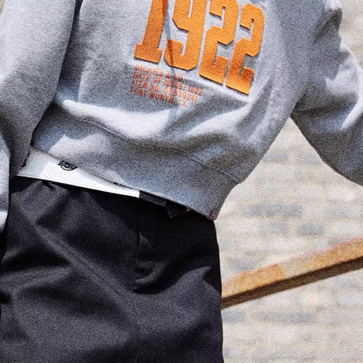 Dickies女式短款印花立领卫衣 休闲百搭简约 女卫衣 DK0A87L9 Y 商品图6