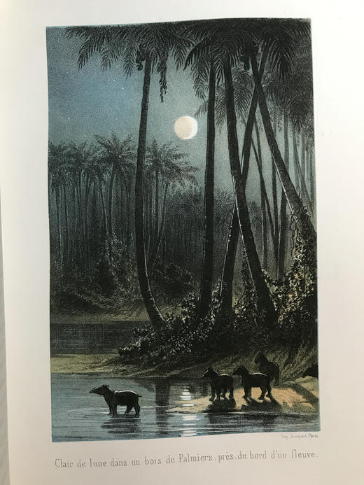 【法语】约19世纪后期 热带地区天文及自然科学研究 40幅版画插图  部分为彩色 真皮精装16开 商品图5