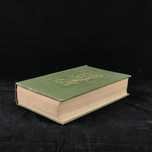 约20世纪早期 英国蝴蝶与蛾类图鉴 70页彩色插图 漆布精装大32开 商品图1