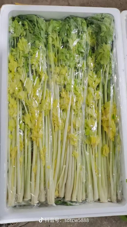 精品马家沟芹菜20斤 商品图2