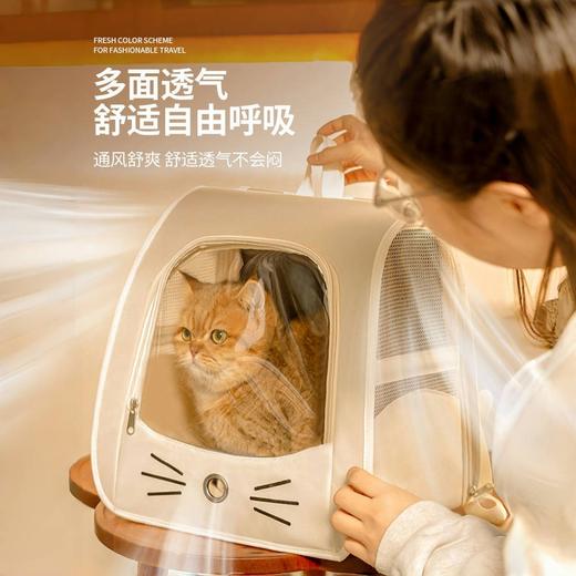【宠物背包笼】猫咪防抓猫包 外出旅行折叠包 书包多功能车载安抚舱双肩  商品图1
