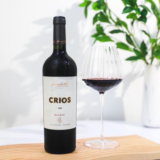 阿根廷苏珊娜巴博酒庄西乐马贝克红葡萄酒 2022 Susana Balbo Crios Malbec 商品图0