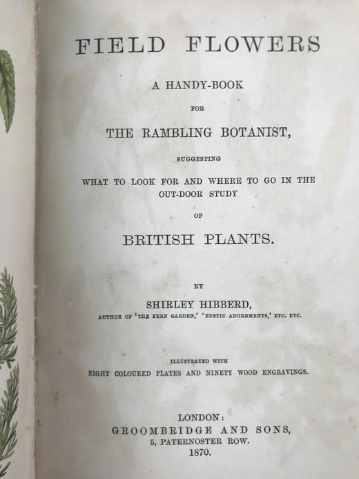1870年 田野花卉手册 8幅彩色90幅黑白木版画 漆布精装36开 商品图3
