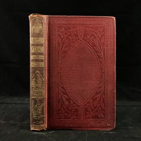 1861年 英国蕨类及其近缘植物 12幅套色版画插图 漆布精装36开