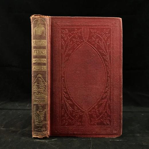 1861年 英国蕨类及其近缘植物 12幅套色版画插图 漆布精装36开 商品图0