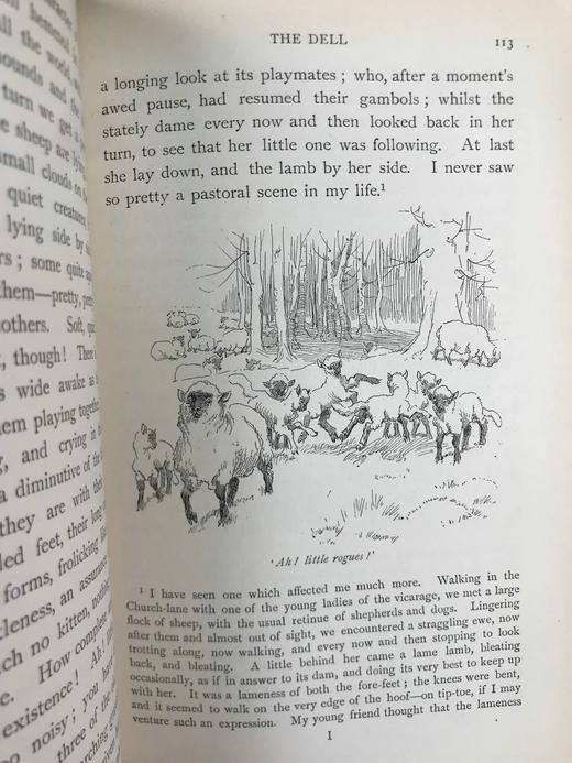 1893年 玛丽·米特福德《我们的村庄》 休·汤姆森100幅插图 漆布精装32开 商品图6