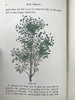 1870年 田野花卉手册 8幅彩色90幅黑白木版画 漆布精装36开 商品缩略图9