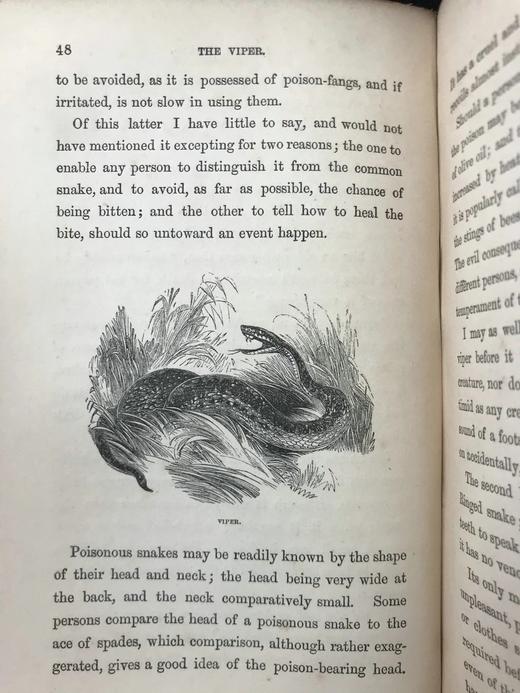 1861年 乡村常见事物图鉴 配多幅套色版画插图 漆布精装36开 商品图10