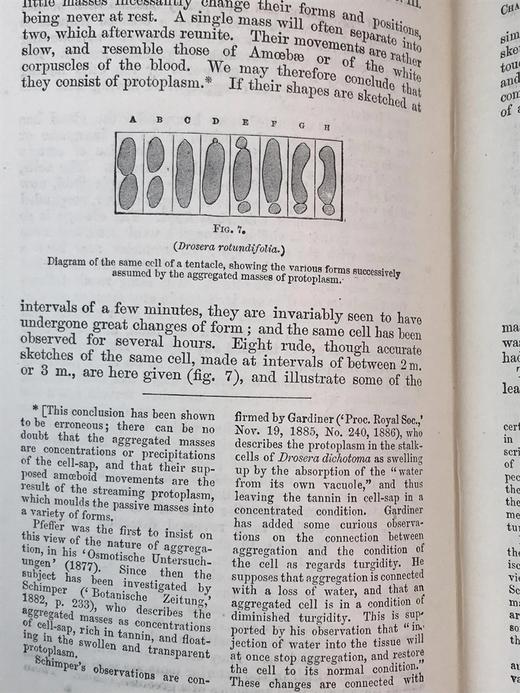 1908年 达尔文《食虫植物》配有插图 漆布精装32开 商品图12