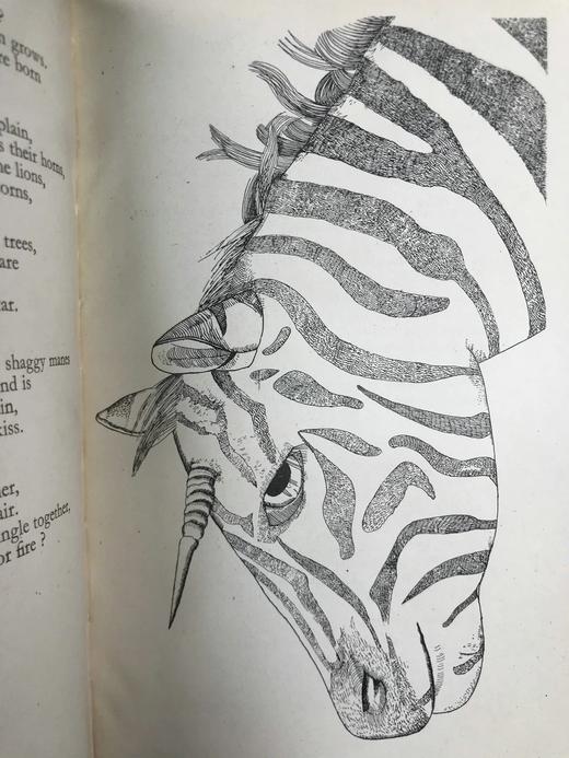 1944年 尼古拉斯·穆尔《玻璃塔》 卢西安·弗洛伊德艺术插图 精装32开 商品图8