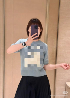 初九上新 马年穿战马 26ssBBR战马徽标 羊绒短袖套头衫 我穿XL