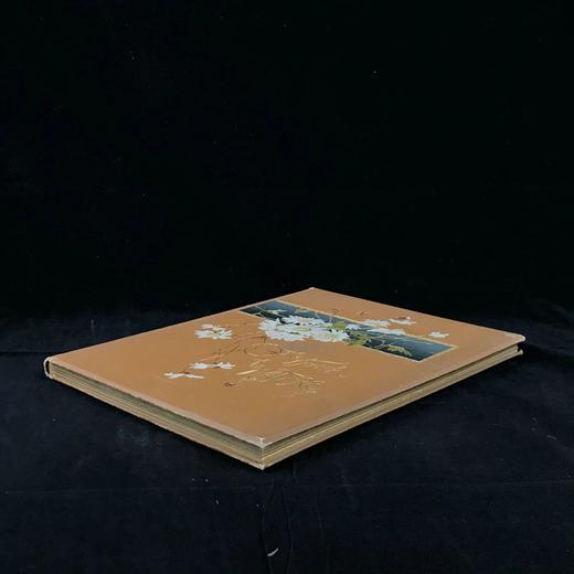 约19世纪后期 自然的触动及其他诗歌 17幅插图 漆布精装16开 商品图1